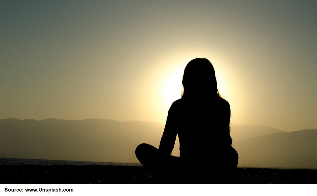 Viable Paths to Holistic Wellness